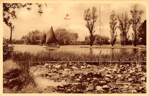 uk16981 the meare thorpeness real photo uk