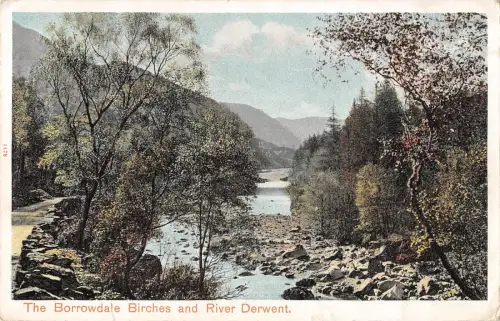 BR96769 the borrowdale birches and river derwent uk