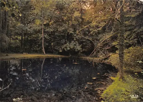 BT4367 St Dizant du Gua Les fontaines bleurs du chateau de Beaulon Frankreich