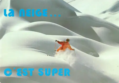 BT12521 La neige c est super Skisport