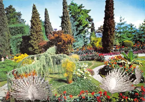 BT0242 giardini isola Bella lago maggiore Italien