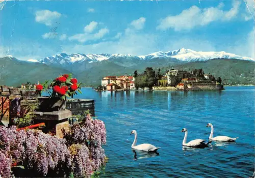 BT0843 Isola Bella Schwan Cigne Lago Maggiore Italien