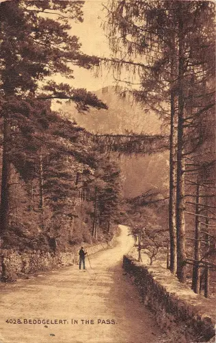 BR93642 beddgelert in den Passwalen