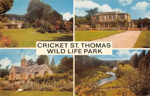 uk17360 wild life park cricket st thomas uk