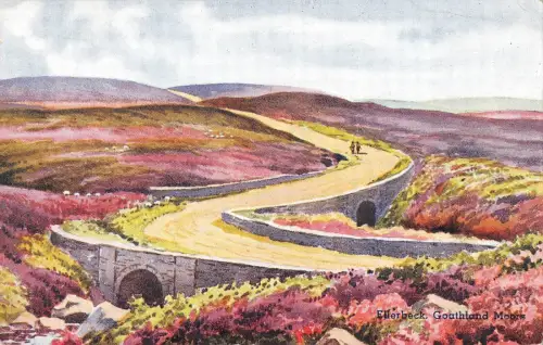BR78696 ellerbeck goathland moors postkarte uk