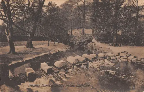 uk14099 stepping stones endcliffe woods sheffield echtfoto uk