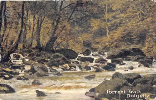 uk15388 torrent walk dolgelly wales uk