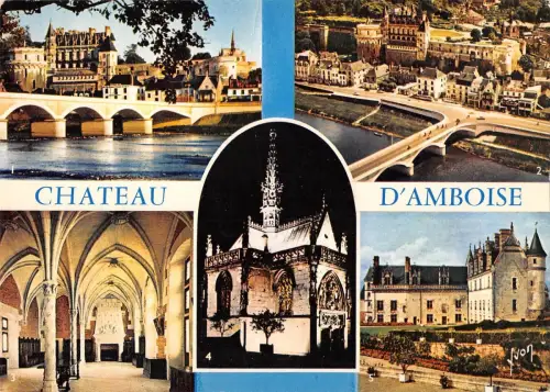 BT10525 Chateau d amboise Frankreich