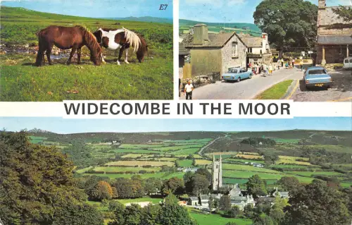 uk11035 windecombe in the moor uk