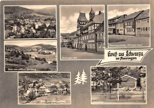 BG16127 gruss aus schwarza in thüringen germany CPSM 14,5x9cm