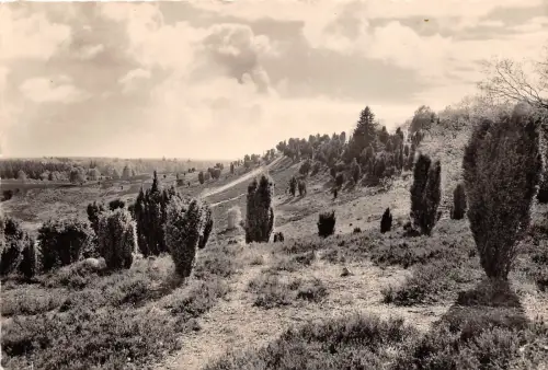 BG1005 lüneburg blick in den totengrund CPSM 14x9,5cm germany