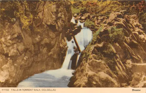 uk10727 fällt in torrent walk dolgellau wales uk