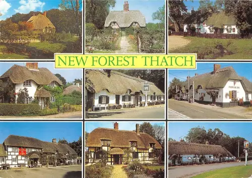 BR91843 new forest tatch uk