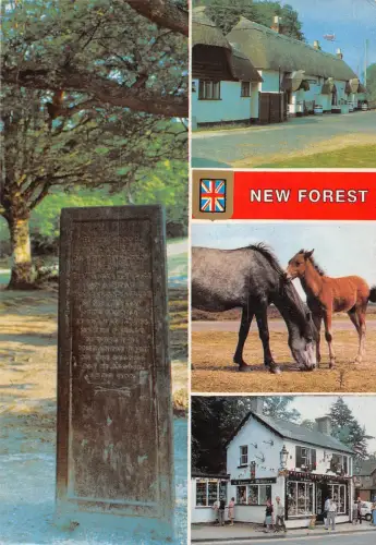 BR82314 new forest uk