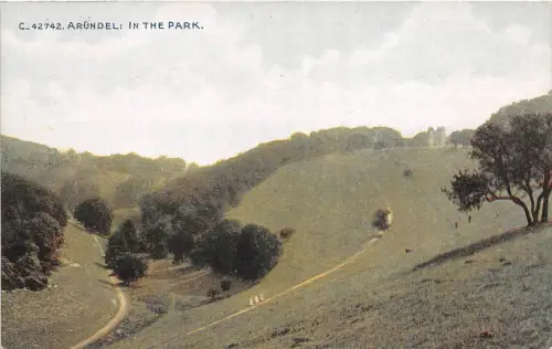 BR58209 in the park arundel uk