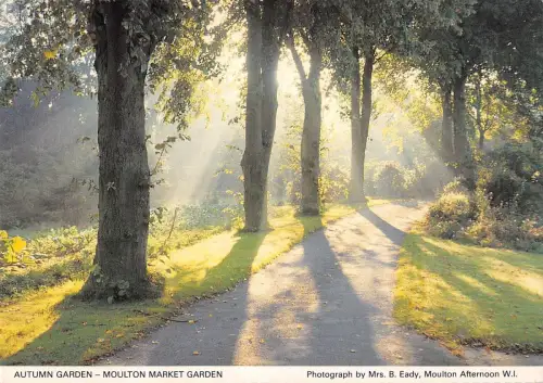 B100818 Herbstgarten Moulton Marktgarten UK