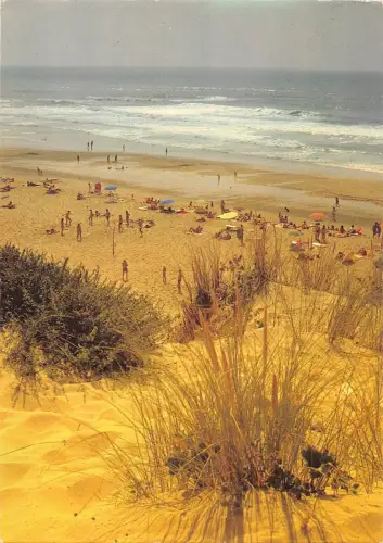 BT6908 La Vague qui s eveille au souffele frais du jour france lan France