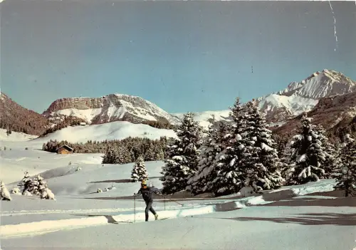 BR22378 PLateau des Glires Ski Frankreich