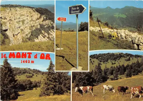 BR31497 Mont D oder Frankreich