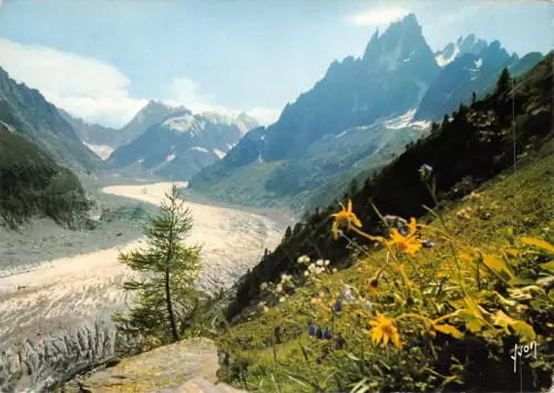 BF416 massif du mont blanc la mer de glace france