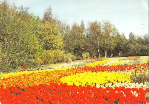 BR92031 springfields spalding uk