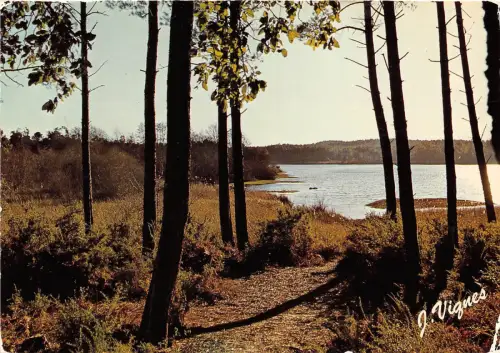 BR31432 Visage des landes Dauceur de nos Etangs france