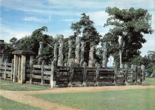 BT12106 Blumige Anmut in Stein Lotusknospen Polinnaruwa Sri Lanka