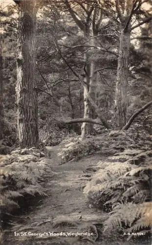 uk19937 in st georges woods weybridge real photo uk