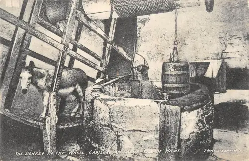 uk19827 donkey in the wheel carisbrooke castle isle of wight real photo uk