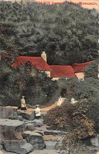 uk13240 old mill jesmond dene newcastle uk