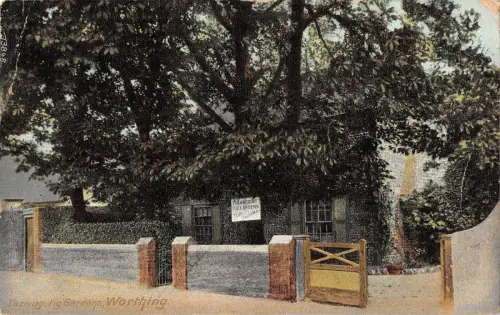 BR79664 Teerfeigengärten wert UK