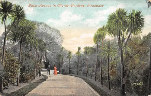 uk29256 palm avenue in morrab gardens penzance uk