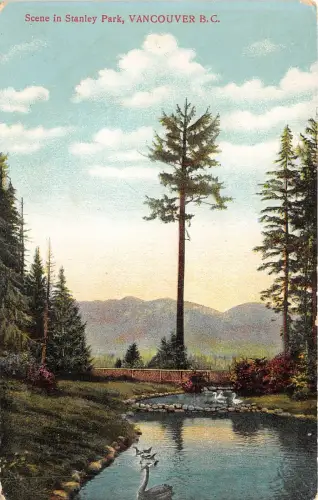 US5793 Szene in Stanley Park Vancouver BC Kanada