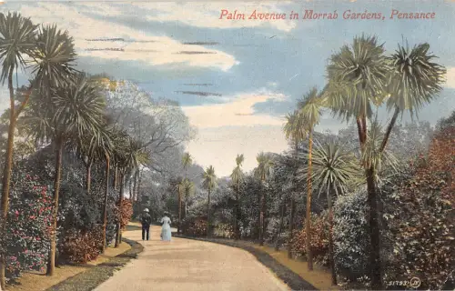 uk29300 palm avenue in morrab gardens penzance uk