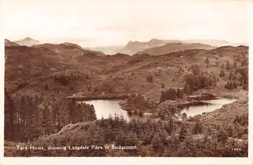 BR96797 Echtfoto-Farn-Shows zeigen Langdale-Hechte im Hintergrund UK