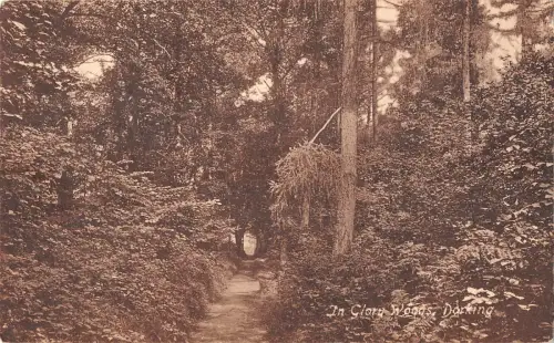 uk29272 in glory woods dorking real photo uk