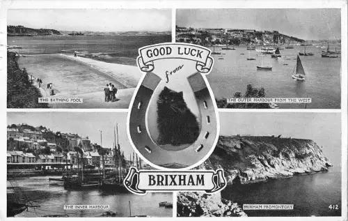 BR96185 brixham cat uk
