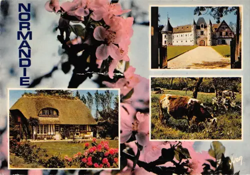 BT7730 la Luxuriante normandie France