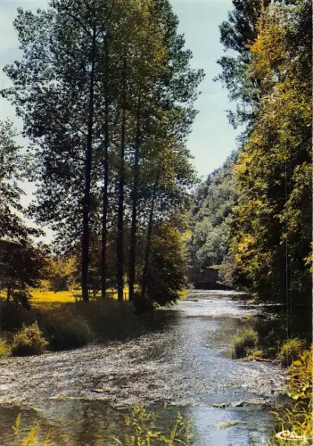 BR54711 St leonard des Bois la sarthe au manoir de l Frankreich
