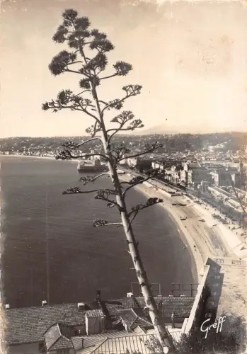 BR49988 Nice la bale des anges France