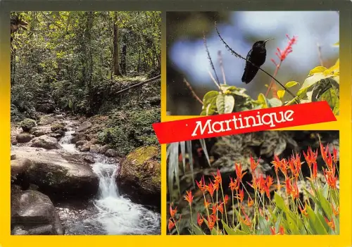 BT7834 Nature tropicale le colobri Martinique Frankreich