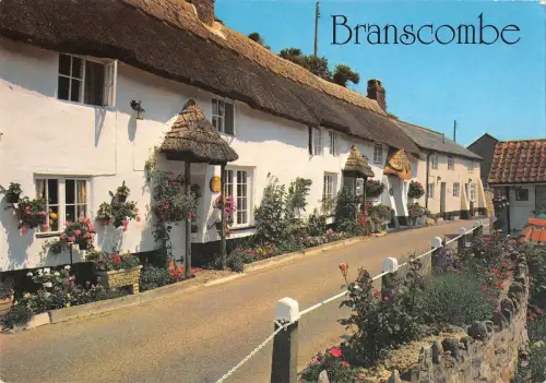 B97091 devon cottages at branscombe uk