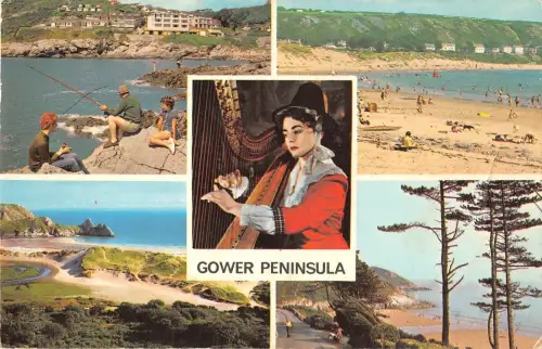 BR66842 Gower Halbinsel Frau spielt an Harfenwalen 14x9cm