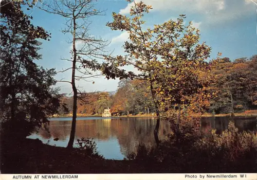 BR90878 Herbst bei newmillerdam uk