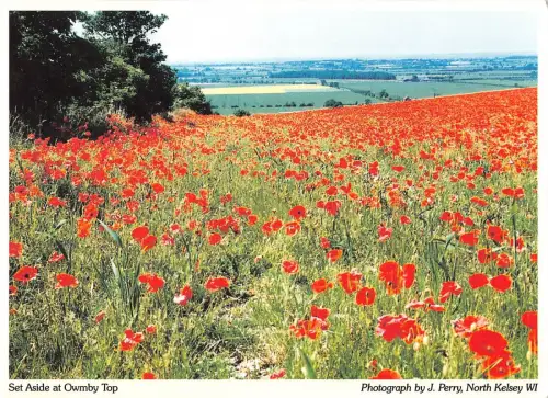 B100800 beiseite gelegt bei owmby top uk