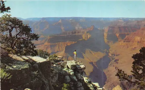 BR30825 At Pima Point Grand Canyon National USA