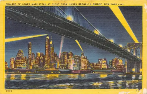 BR28038 Skyline von Lower Manhattan bei Nacht New York City