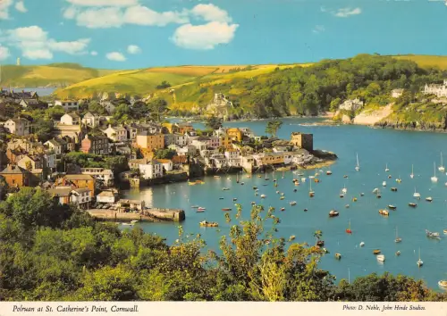 BR89108 polruan at st catherine s point cornwall uk
