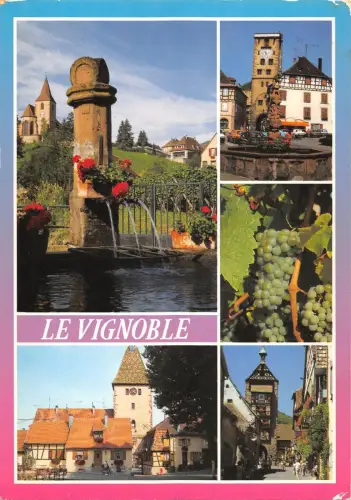 BT6521 Bilder de France le vignoble France