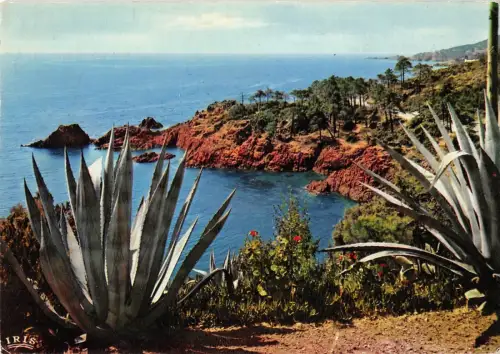 BT8188 La corniche dor rivages mediterraneens France